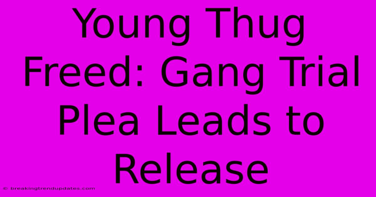 Young Thug Freed: Gang Trial Plea Leads To Release Young Thug Freed: Gang Trial Plea Leads To Release