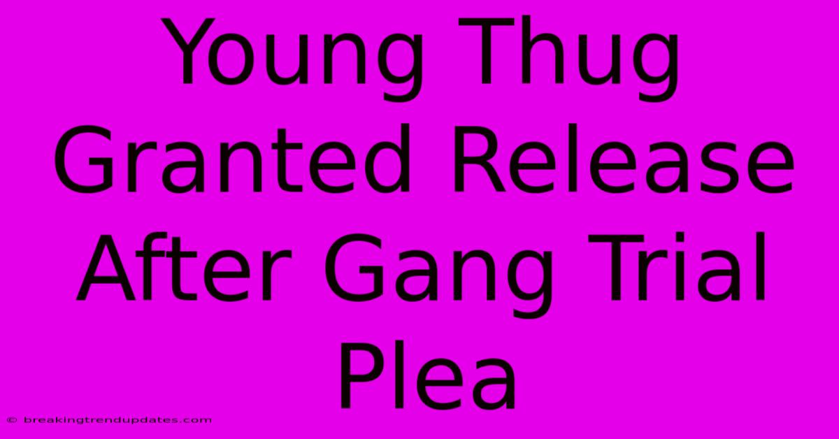 Young Thug Granted Release After Gang Trial Plea Young Thug Granted Release After Gang Trial Plea