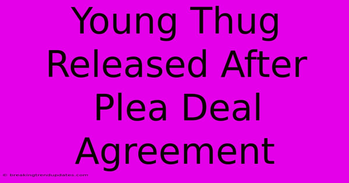 Young Thug Released After Plea Deal Agreement Young Thug Released After Plea Deal Agreement