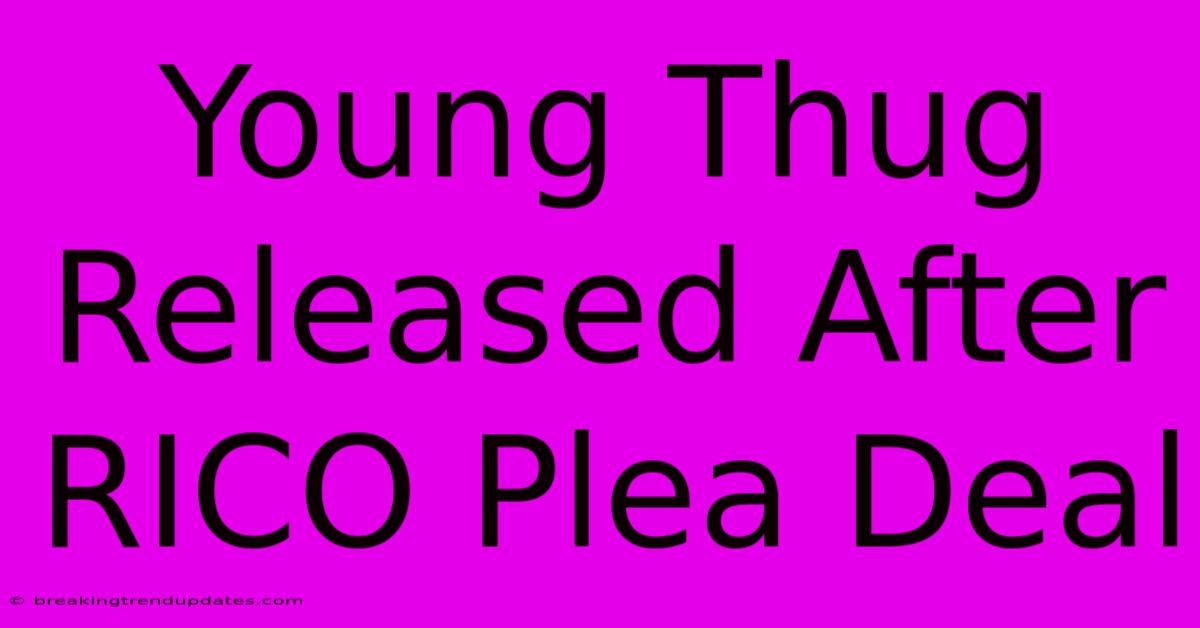 Young Thug Released After RICO Plea Deal Young Thug Released After RICO Plea Deal