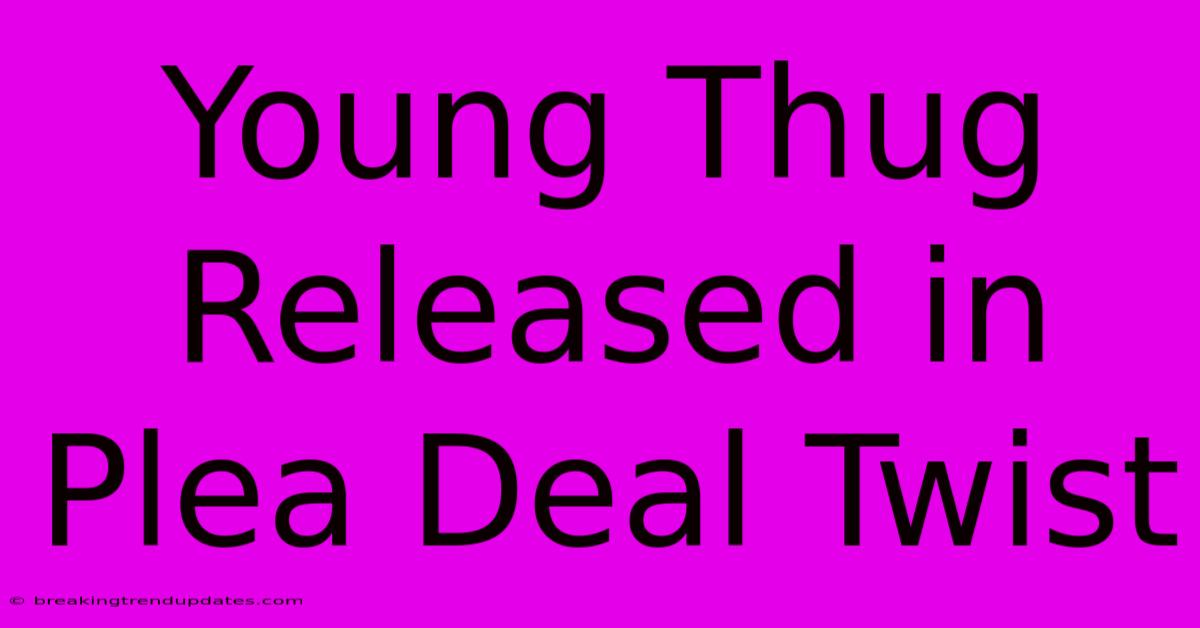 Young Thug Released In Plea Deal Twist Young Thug Released In Plea Deal Twist