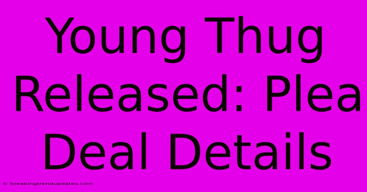 Young Thug Released: Plea Deal Details Young Thug Released: Plea Deal Details
