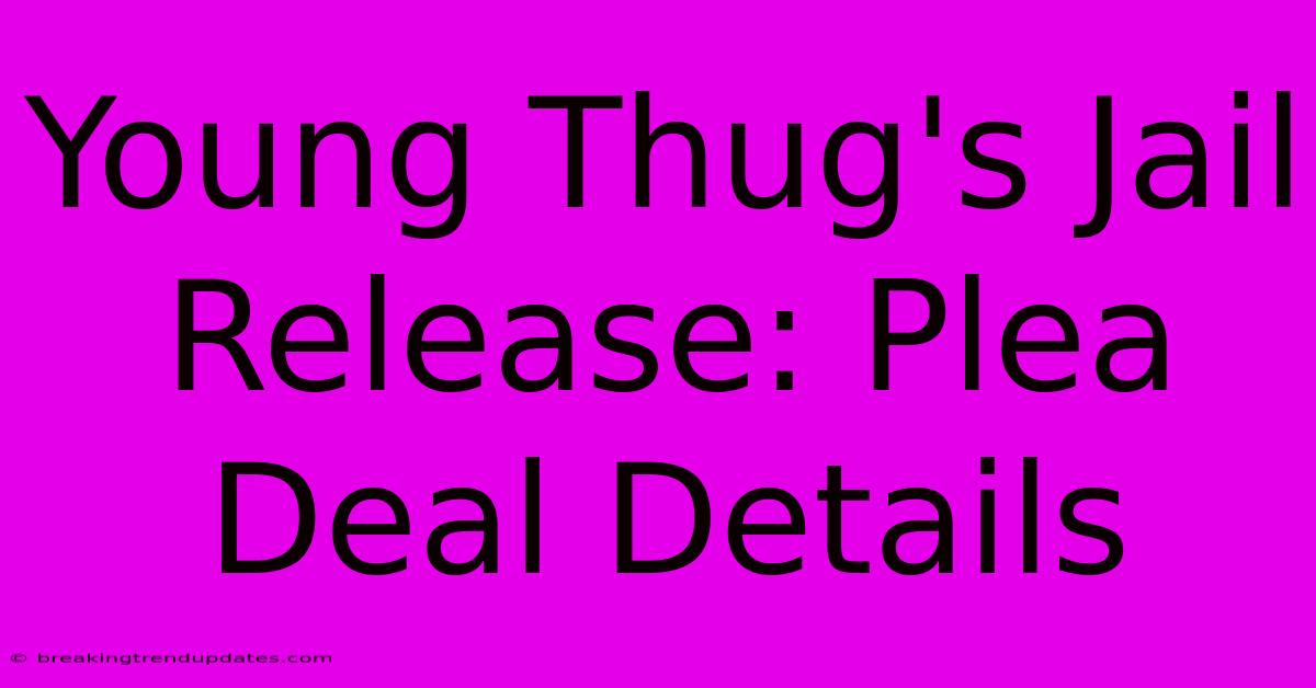 Young Thug's Jail Release: Plea Deal Details Young Thug's Jail Release: Plea Deal Details