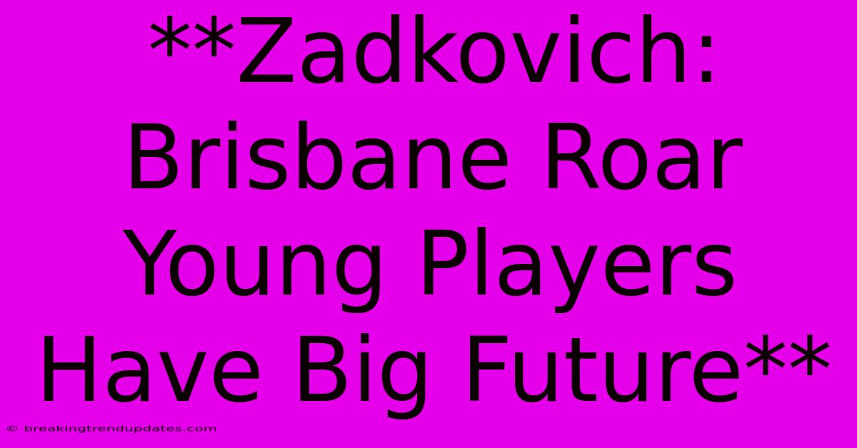 **Zadkovich: Brisbane Roar Young Players Have Big Future** **Zadkovich: Brisbane Roar Young Players Have Big Future**